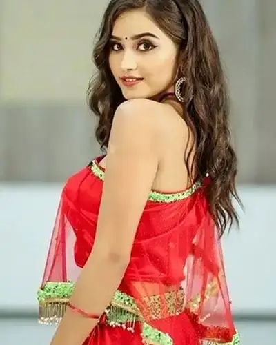 Call Girls Service Ladnu